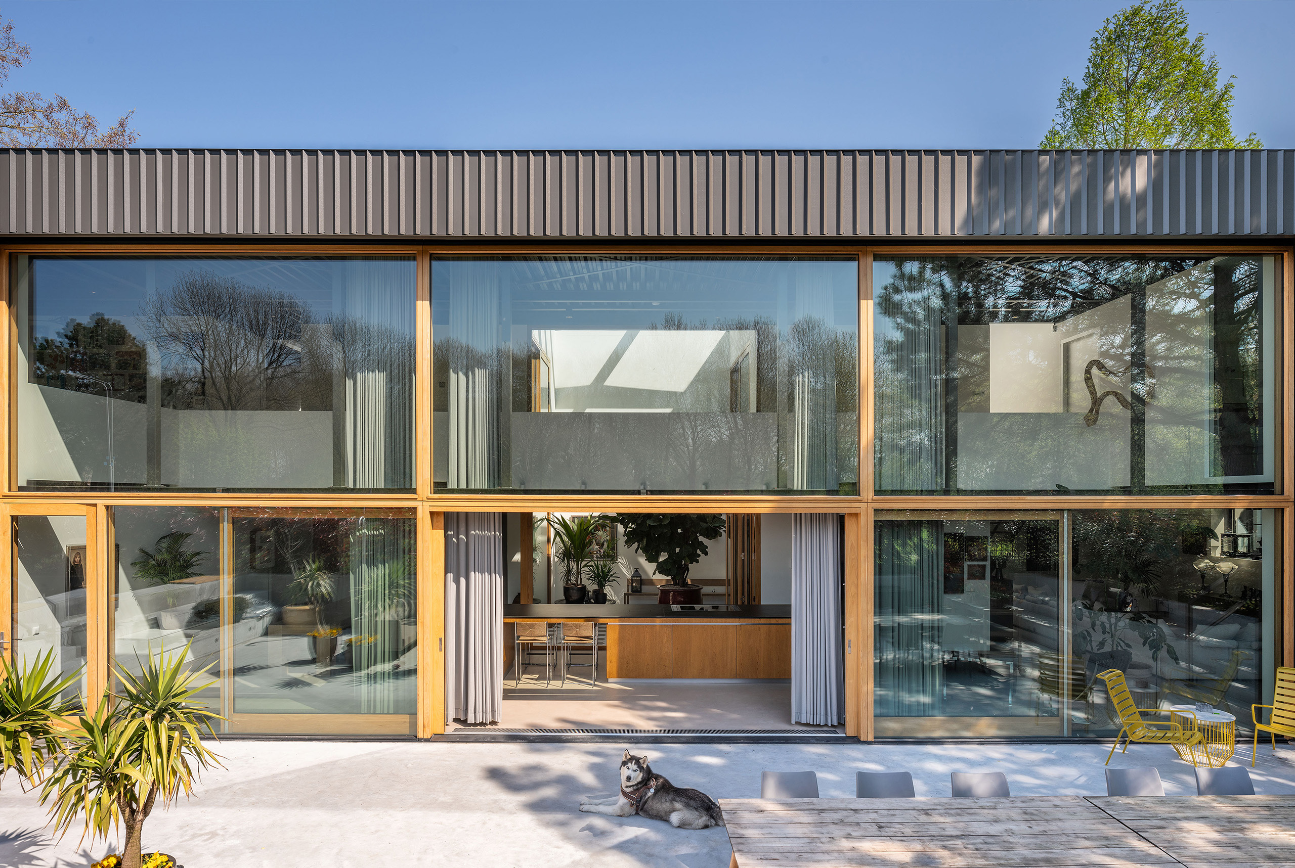 New facade with wooden window frames